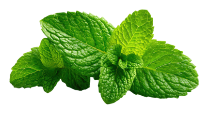 Mint Leaves Close-Up: A vibrant cluster of fresh mint leaves. The vivid green hues of these aromatic leaves invite the senses, promising a burst of refreshing flavor.