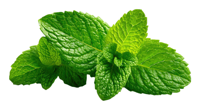 Mint Leaves Close-Up: A vibrant cluster of fresh mint leaves. The vivid green hues of these aromatic leaves invite the senses, promising a burst of refreshing flavor.