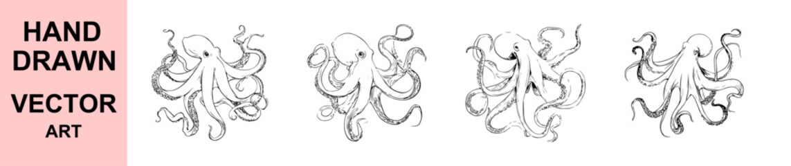 Detailed hand drawn octopus vector illustration set featuring intricate tentacle designs showcasing marine wildlife artwork ideal for ocean themed branding educational materials decorations and creati © Faiza's World