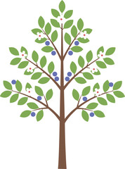 Fototapeta premium Simple Flat Blueberry Tree With Leaves And Flower Spring Season Illustration