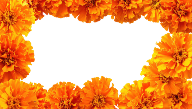 A vibrant, sunny floral border formed by an abundance of bright orange blossoms framing a blank, irregular black space