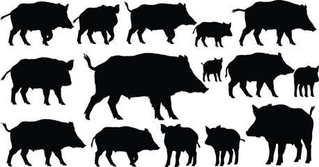 Wild boar silhouette, animal pose, walking boar, standing boar, wildlife icon, forest creature, black outline, nature symbol, hunting graphic, boar profile, pig shape, wild pig, animal vector