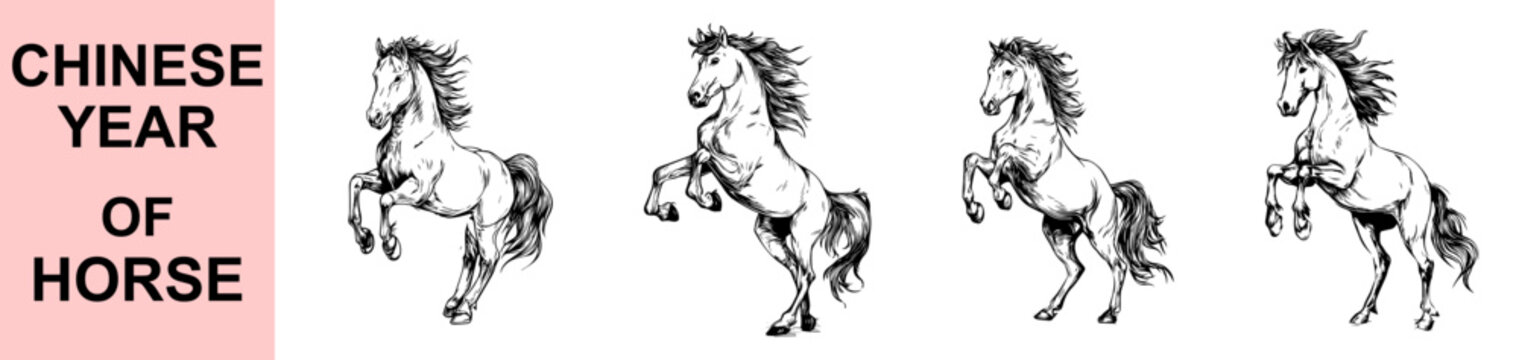 Detailed rearing horse sketch vector illustration celebrating Chinese Year of the Horse with refined linework, elegant posture, dynamic energy and traditional zodiac style for decorative cultural art 