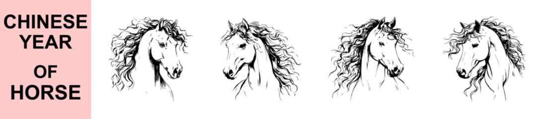 Detailed sketch style horse head vector illustration featuring flowing mane, elegant profile, Chinese Year of the Horse symbolism, perfect for decorative prints, zodiac themes, and artistic design pro