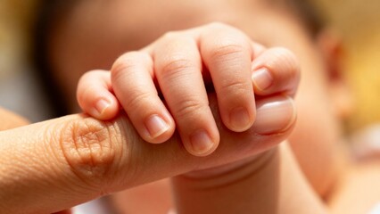 close view of a baby hand holding a finger of its mom, hand of a baby, haptic