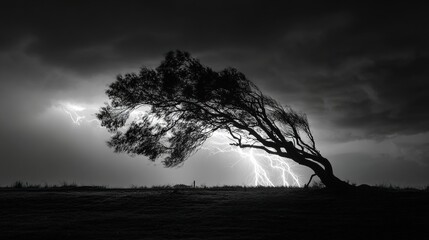 superego. A lone tree bent by strong winds during a stormy night with dramatic lighting. ESG reports, sustainability campaigns, designed for sustainability communications and ESG reporting.