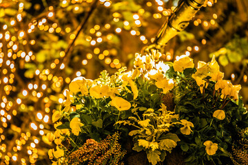 クリスマスリース