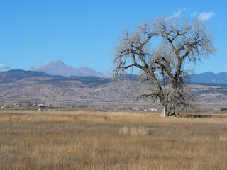 Late Autumn Prairie and Longs Peak from Open Sky Loop Trail, Lagerman Agricultural Preserve, Colorado