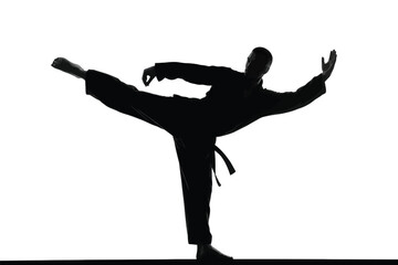 Martial artist performing a high side kick in black uniform martial arts silhouette