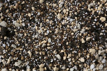 making a handamde soil mix special for a cactus arrangement pot