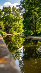 A serene summer scene sunlit trees frame a calm waterway reflecting the foliage. The foreground shows a blurred ledge
