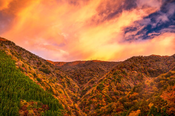 朝焼けに染まる紅葉の龍神岳