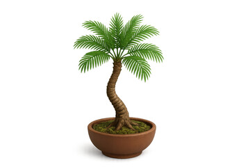 Obraz premium Small palm bonsai tree with green fronds and curved trunk in a ceramic pot, symbolizing home decor and gardening