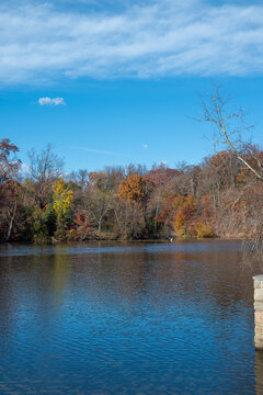 Fall Leaves over Pond
