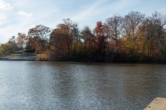 Fall Leaves over Pond