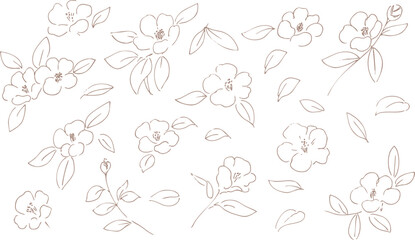 正月イラスト。年賀状にも使える椿の線画イラスト。和風の椿と植物のイラスト。椿の正月背景。
New Year's illustration. A line drawing of a camellia that can also be used for New Year's cards. Japanese-style camellia and plant illustration. Camellia 