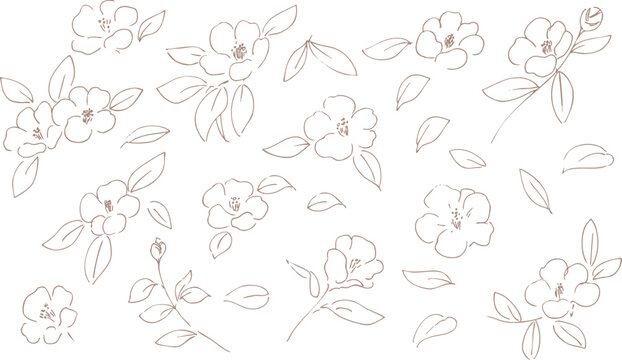 正月イラスト。年賀状にも使える椿の線画イラスト。和風の椿と植物のイラスト。椿の正月背景。
New Year's illustration. A line drawing of a camellia that can also be used for New Year's cards. Japanese-style camellia and plant illustration. Camellia 