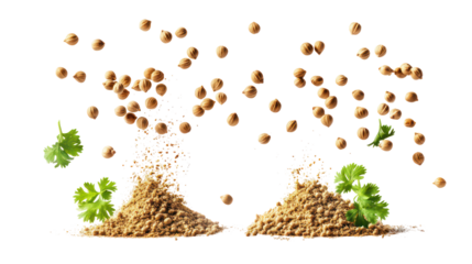 Falling coriander seeds and leaves isolated on transparent background