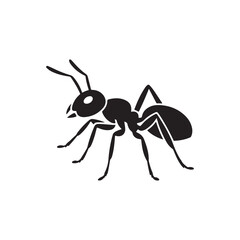 ant isolated on white background. vector eps 10