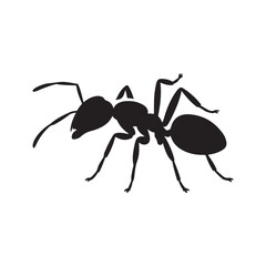 ant isolated on white background. vector eps 10
