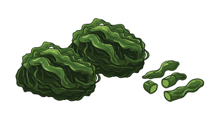 Obraz premium Fresh green seaweed close up healthy food concept.