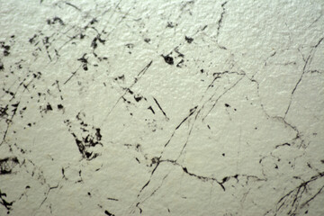 A close-up of the polished surface of snow-white granite with black veins and inclusions.