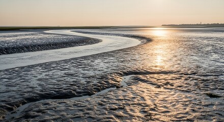 Tidal creek meandering through a mudflat at sunset reflecting the golden light creating a serene coastal landscape