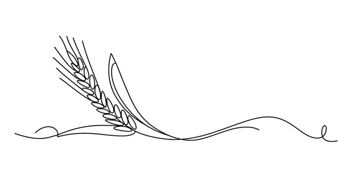Continuous line drawing of a wheat ear, an agricultural symbol of harvest and organic food, perfect for bakery logos or natural product branding.
