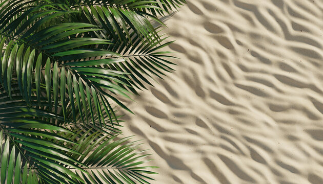 palm leaves on sand background with copy space