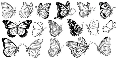 Collection of detailed black and white butterfly wing illustrations in various poses and styles © Saber