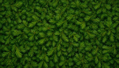 Dense arrangement of vibrant green pine needles creating a lush natural textured background 100 char