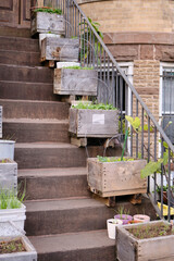 Wooden planter boxes with green onions and spinach growing on a staircase leading to a second-floor entrance