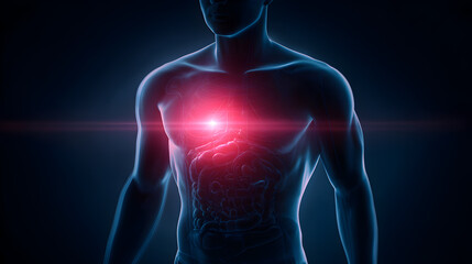 Human Anatomy Model with Radiant Heart Center, Illustrating the Internal Organs and Systematic Structure Overall in a Dark and Mysterious Setting
