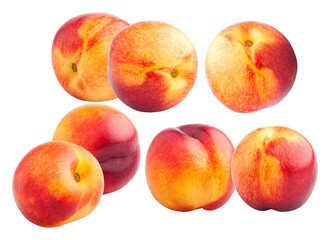vibrant collection of six ripe and whole nectarine fruits isolated on a solid transparent background, showcasing smooth skin texture and beautiful red and yellow coloring.