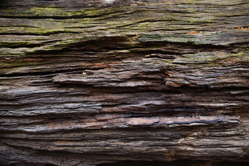 Rustic Weathered Wood Texture With Deep Grooves And Natural Layered Grain Pattern