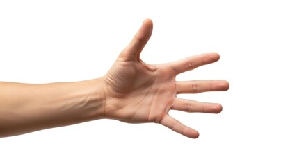 Open Hand Reaching Out, Outstretched, Five fingers, Palm