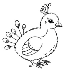 Cute Cartoon Baby Peacock Chick Line Art Coloring Book Page