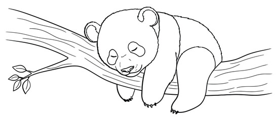 Cute Sleeping Panda Bear Cub Resting on Tree Branch Black Line Art Coloring Page Outline Vector Illustration © Kafi