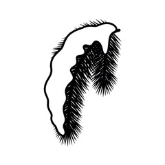 Snowcovered pine branch illustration in black and white.