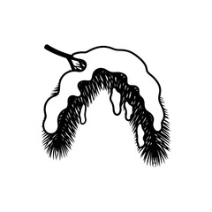 Snowcovered pine branch illustration.