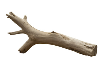 Natural wooden branch isolated on transparent background