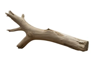 Natural wooden branch isolated on transparent background