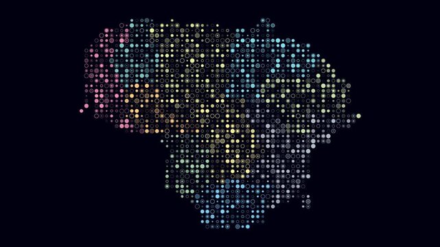 Lithuania map animation. Shape of the country with pulsating colored dots. Small size circle blocks. Digital style Lithuania map on dark background. Stylish video.