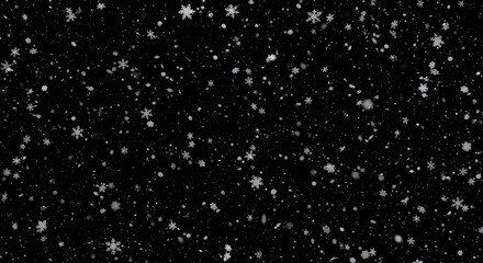 Dense glittering star particles forming a deep, sparkling night effect suitable for cosmic visuals, magical overlays, and dreamy backgrounds.