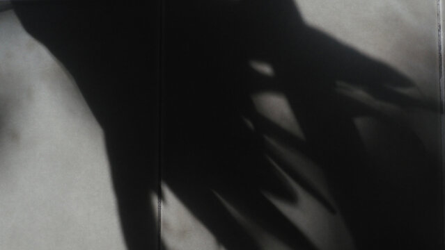 Sunlight With Tree Shadow on Wall, Planting Shadow, Komorebi Light, 木漏れ日,