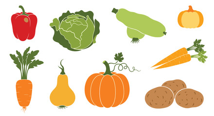 A vibrant assortment of fresh garden vegetables, including peppers, cabbage, zucchini, carrots, pumpkins, and potatoes, isolated on white.