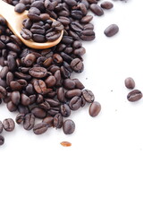 Fresh coffee beans
