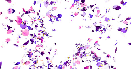 Purple flower petals flying here in the wind. Colorful several flowers. Isolated on alpha background. 3D rendering.