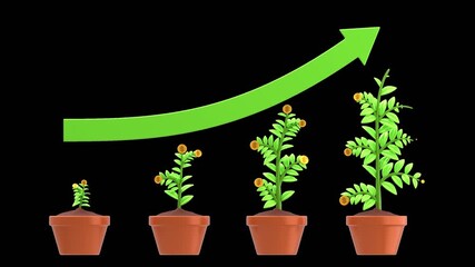 3D Business Growth | Alpha Channel