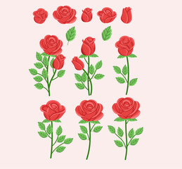 Collection of Red Rose Illustrations with Stems and Leaves